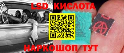 спиды Кингисепп