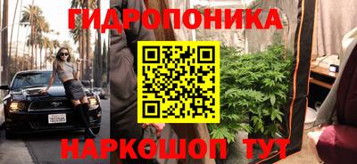 спиды Кингисепп