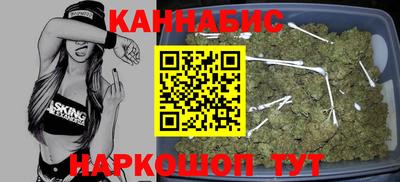спиды Кингисепп