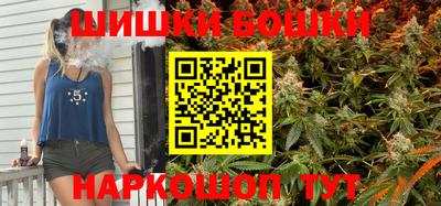 спиды Кингисепп