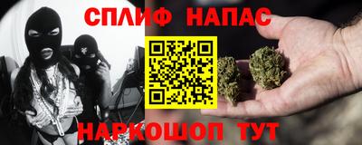 спиды Кингисепп