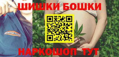 спиды Кингисепп