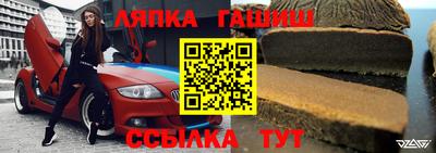 спиды Кингисепп
