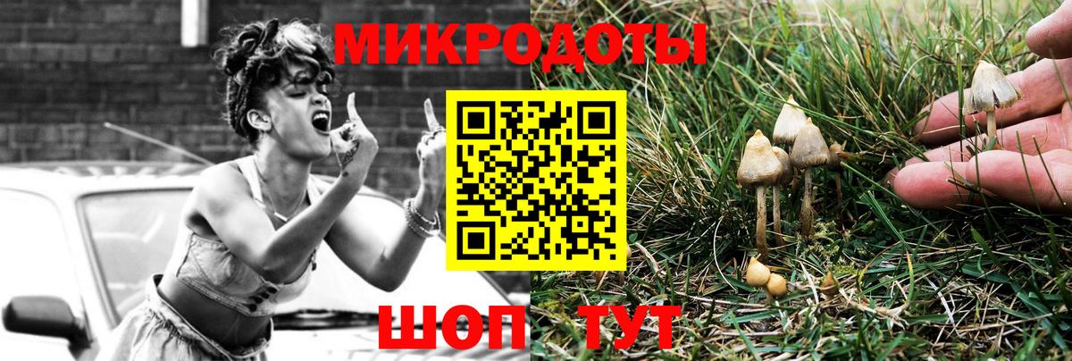 Псилоцибиновые грибы прущие грибы Краснодар