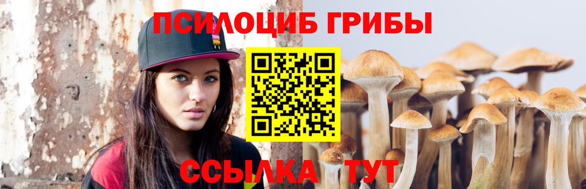 Краснодар  Псилоцибиновые грибы MAGIC MUSHROOMS  Вход с VPN 
